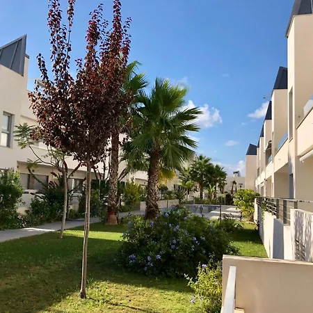 Amalia 54 טורבייחה